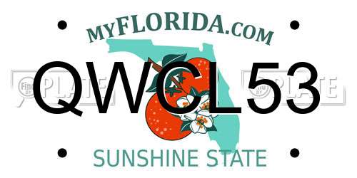 QWCL53 Florida License Plate