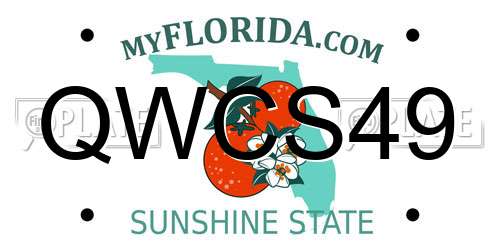 QWCS49 Florida License Plate