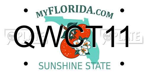 QWCT11 Florida License Plate