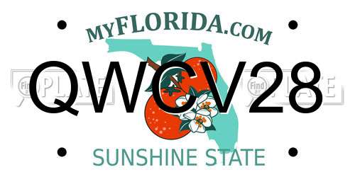 QWCV28 Florida License Plate