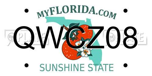 QWCZ08 Florida License Plate