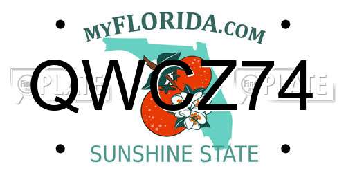 QWCZ74 Florida License Plate