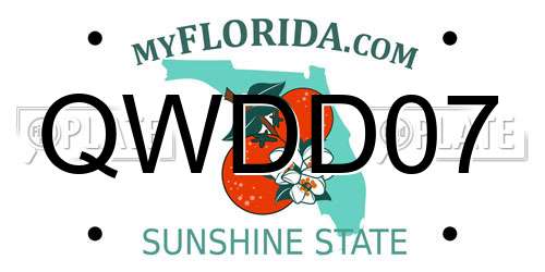QWDD07 Florida License Plate
