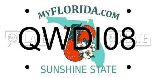 QWDI08 Florida License Plate