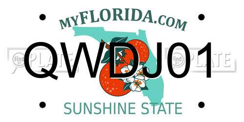 QWDJ01 Florida License Plate