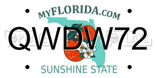 QWDW72 Florida License Plate