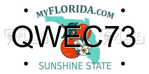 QWEC73 Florida License Plate