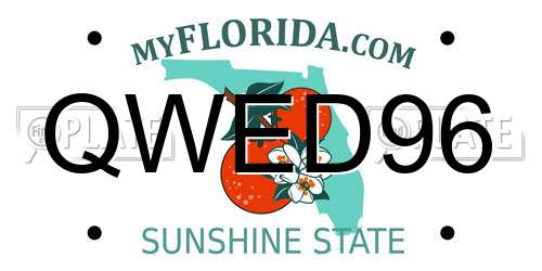 QWED96 Florida License Plate