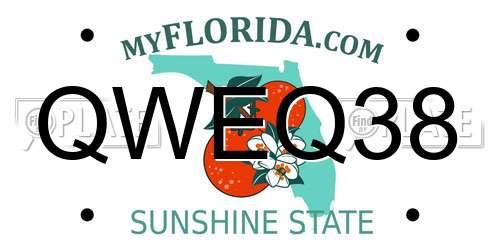 QWEQ38 Florida License Plate