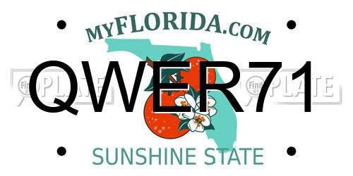 QWER71 Florida License Plate