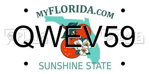 QWEV59 Florida License Plate