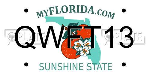 QWFT13 Florida License Plate