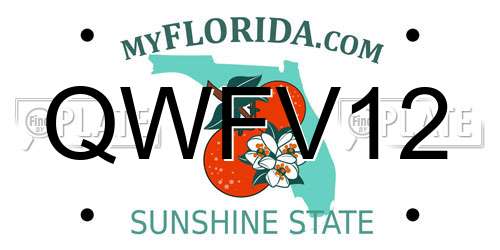 QWFV12 Florida License Plate