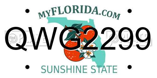 QWG2299 Florida License Plate