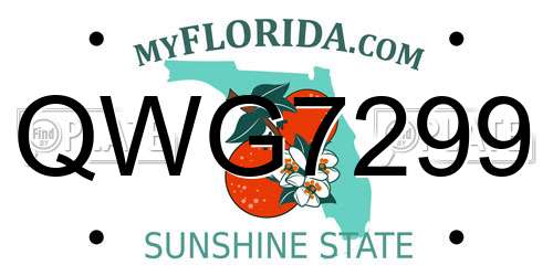 QWG7299 Florida License Plate