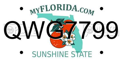 QWG7799 Florida License Plate