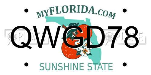 QWGD78 Florida License Plate