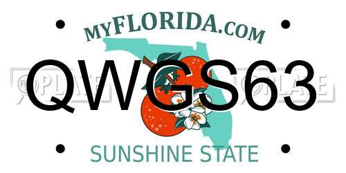 QWGS63 Florida License Plate