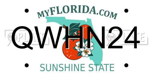 QWHN24 Florida License Plate