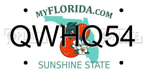 QWHQ54 Florida License Plate