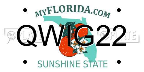 QWIG22 Florida License Plate