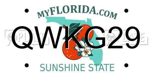 QWKG29 Florida License Plate