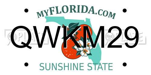 QWKM29 Florida License Plate