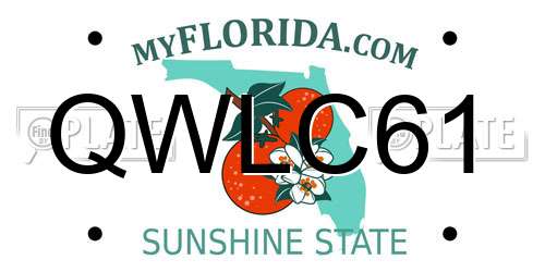 QWLC61 Florida License Plate