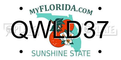QWLD37 Florida License Plate