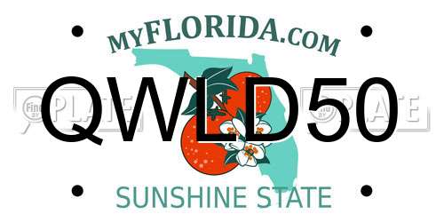 QWLD50 Florida License Plate