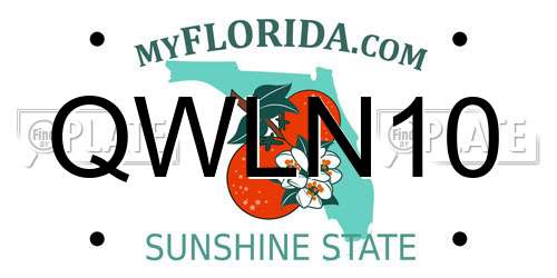 QWLN10 Florida License Plate