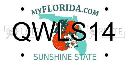 QWLS14 Florida License Plate
