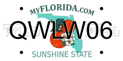 QWLW06 Florida License Plate