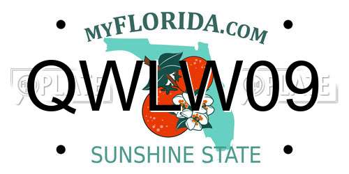 QWLW09 Florida License Plate