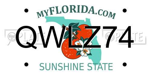 QWLZ74 Florida License Plate