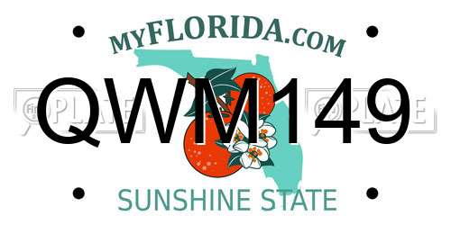 QWM149 Florida License Plate