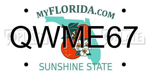 QWME67 Florida License Plate