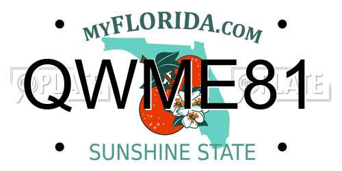 QWME81 Florida License Plate