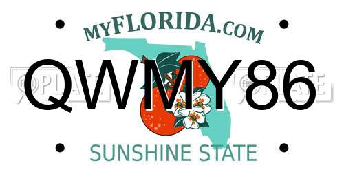 QWMY86 Florida License Plate