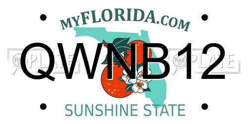 QWNB12 Florida License Plate