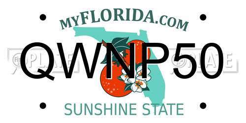 QWNP50 Florida License Plate