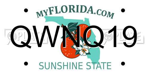 QWNQ19 Florida License Plate