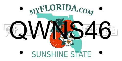 QWNS46 Florida License Plate