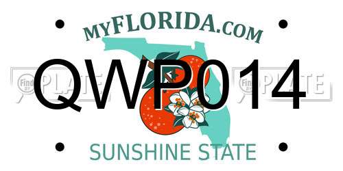 QWP014 Florida License Plate