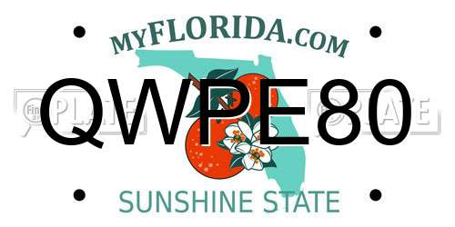 QWPE80 Florida License Plate