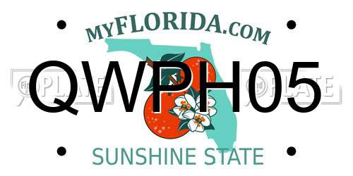 QWPH05 Florida License Plate