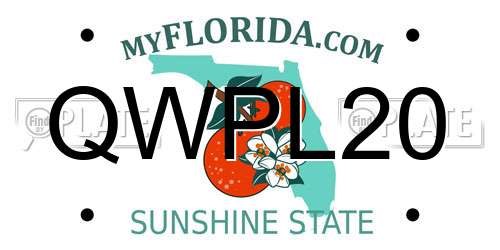 QWPL20 Florida License Plate