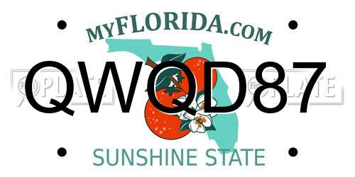 QWQD87 Florida License Plate