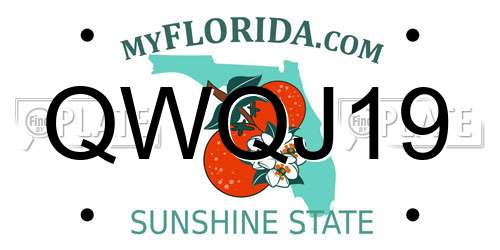 QWQJ19 Florida License Plate