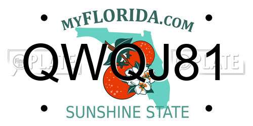 QWQJ81 Florida License Plate